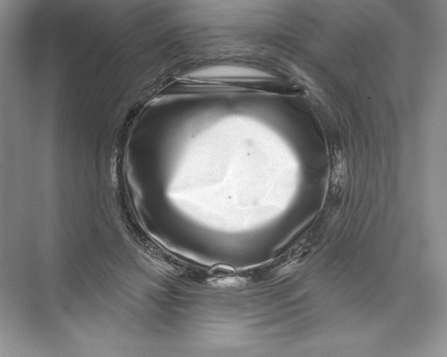 X0000074220452200609222011