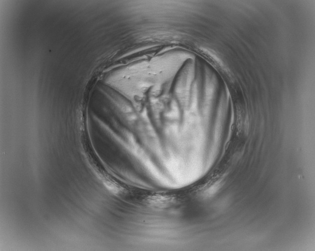 X0000074220453200609222011