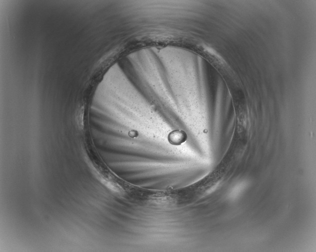 X0000074220454200609222012