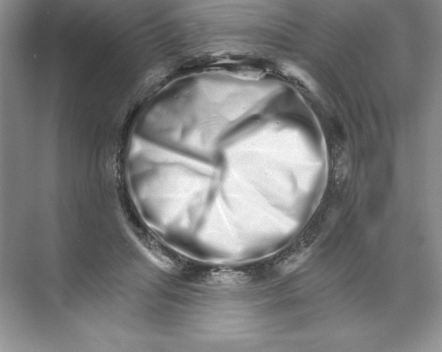X0000074220455200609222012