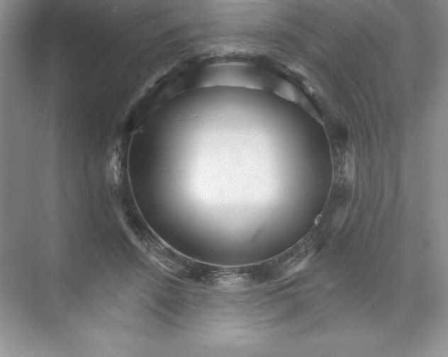 X0000074220456200609222012