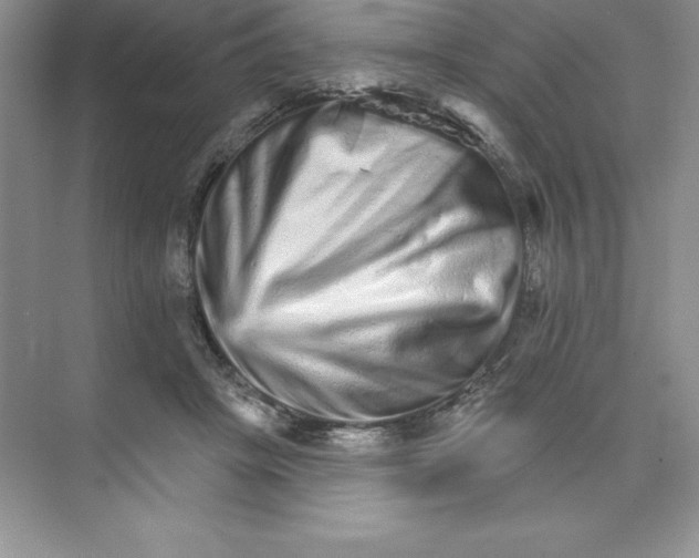 X0000074220457200609222012