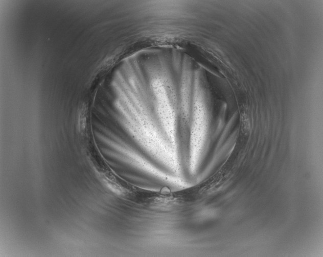 X0000074220458200609222012