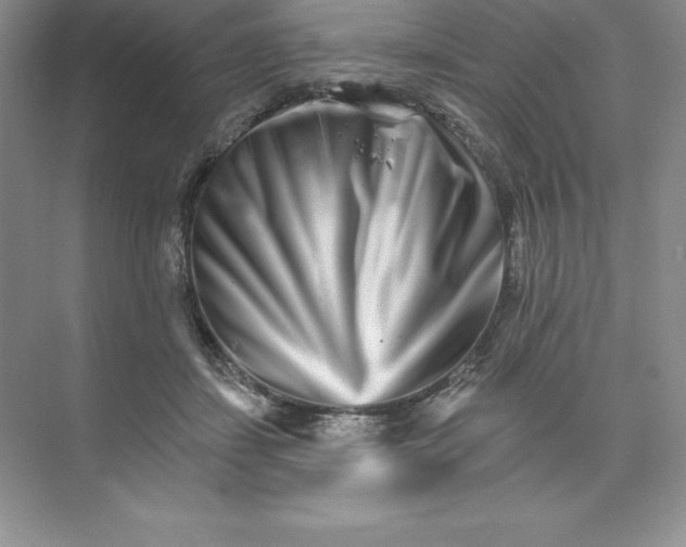 X0000074220459200609222012