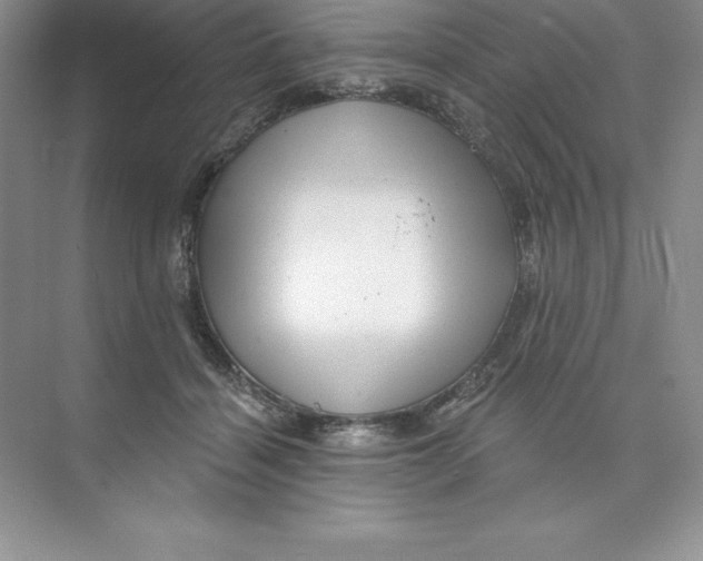 X0000074220460200609222012