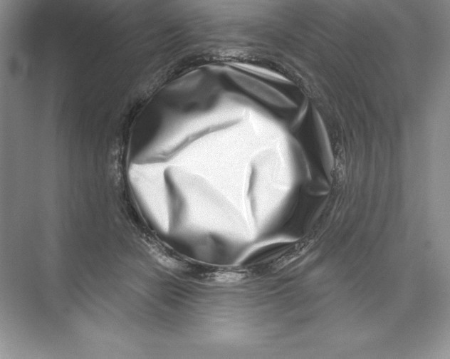 X0000074220462200609222012