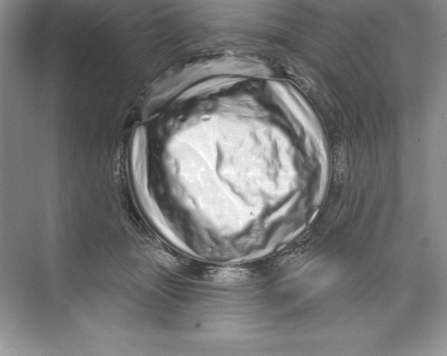 X0000074220463200609222012