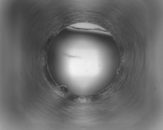 X0000074220464200609222012