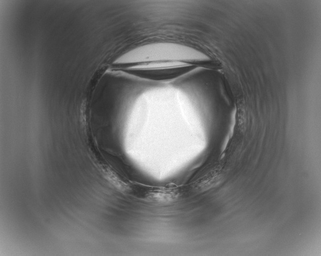 X0000074220466200609222012