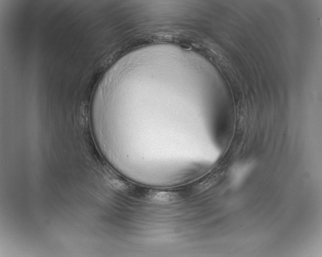 X0000074220467200609222012