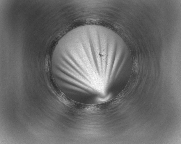 X0000074220468200609222012