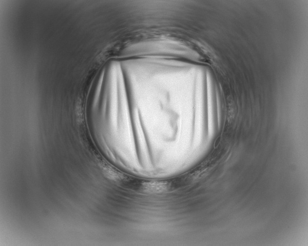X0000074220469200609222012