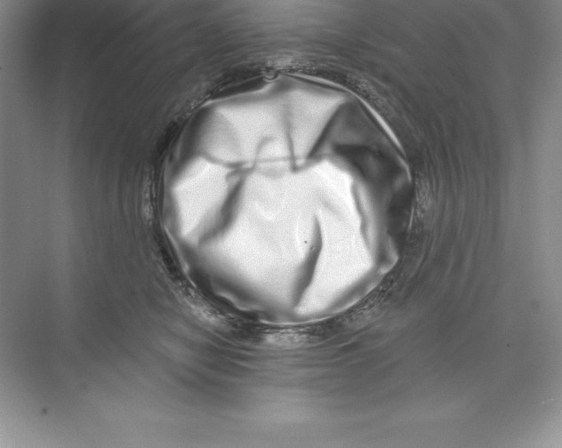 X0000074220470200609222012