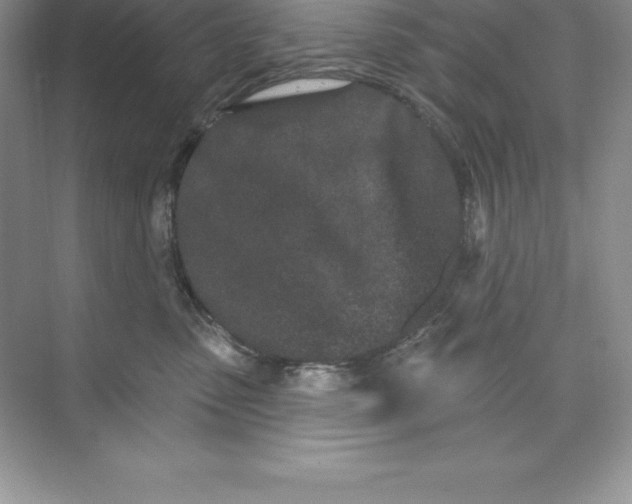 X0000074220475200609222012