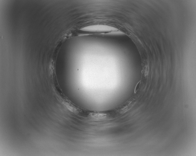 X0000074220476200609222012