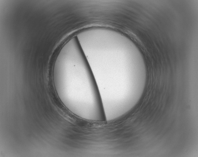 X0000074220484200609222011