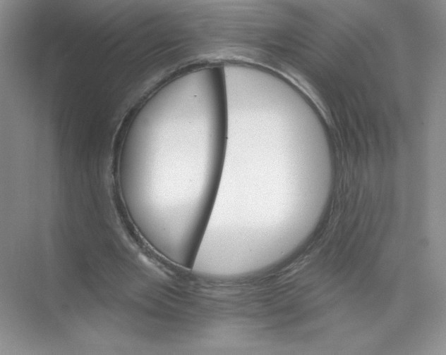 X0000074220485200609222011