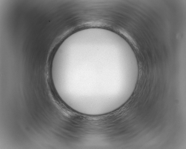 X0000074220486200609222011