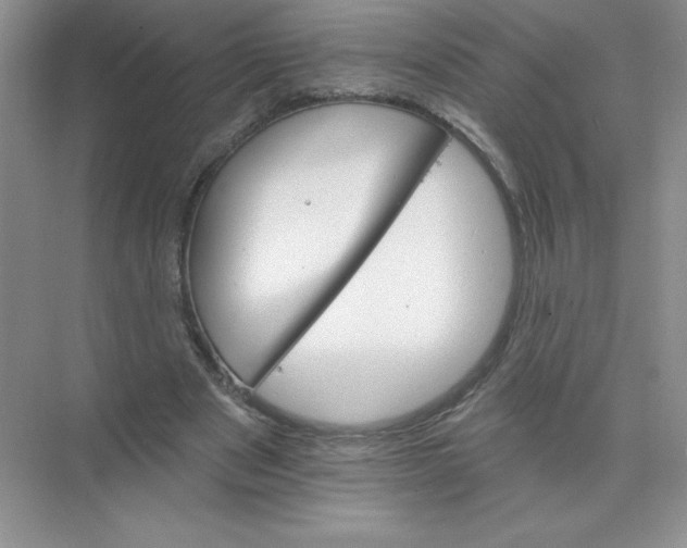X0000074220489200609222011