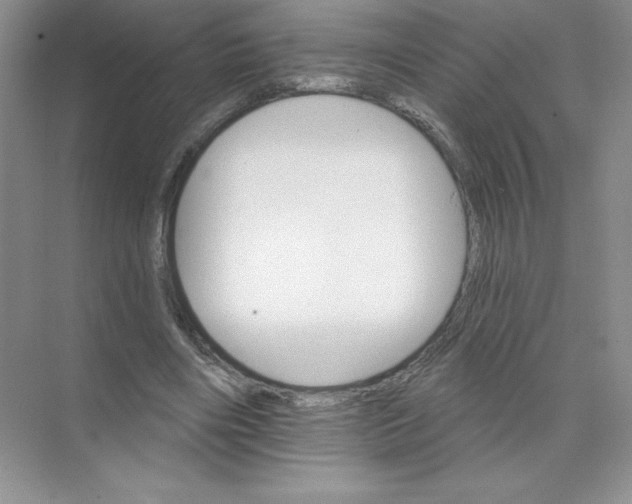 X0000074220490200609222011