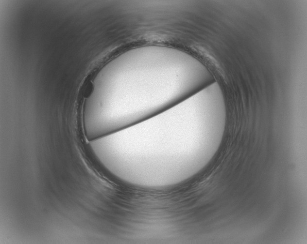 X0000074220492200609222011