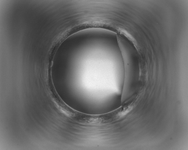 X0000074220493200609222011