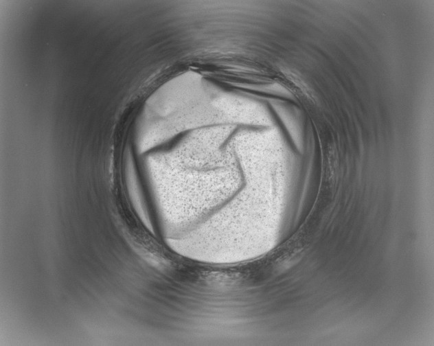 X0000074220494200609222011