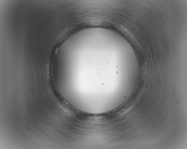 X0000074220497200609222011