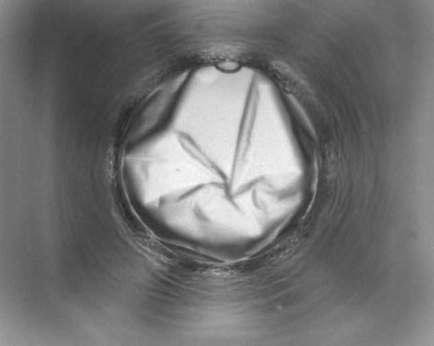X0000074220498200609222011
