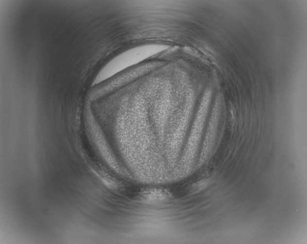 X0000074220499200609222011
