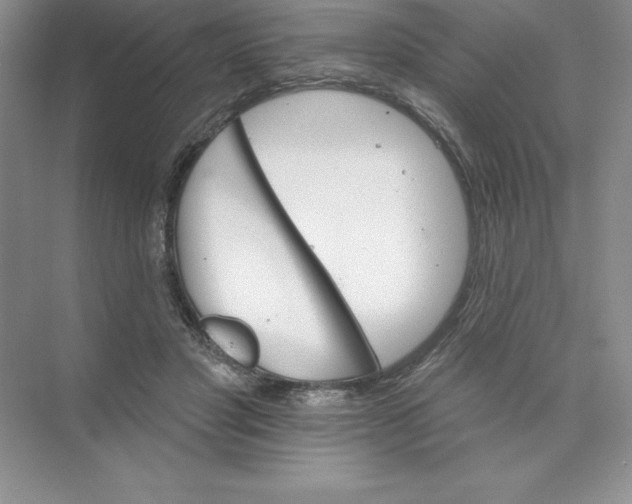 X0000074220501200609222011