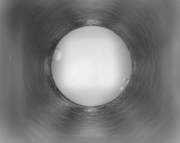 X0000074220506200609222011