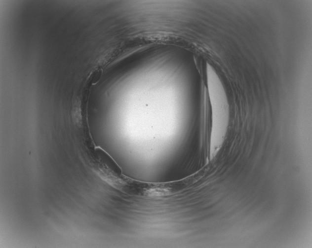 X0000074220508200609222011