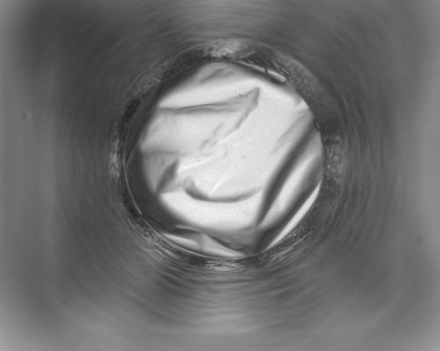 X0000074220510200609222011