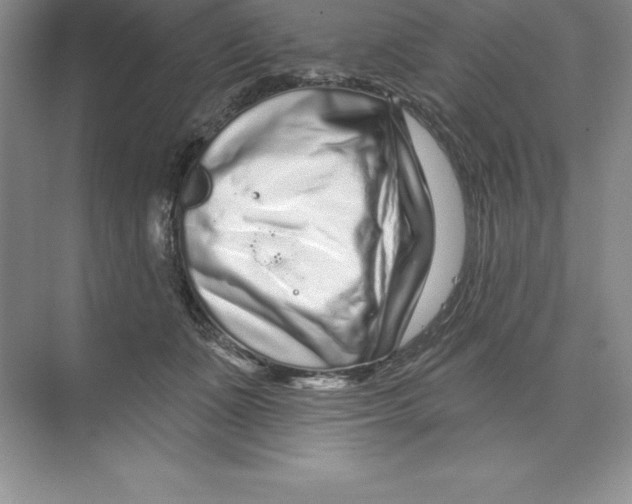 X0000074220511200609222011