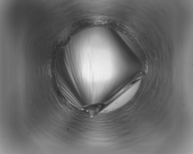 X0000074220512200609222011