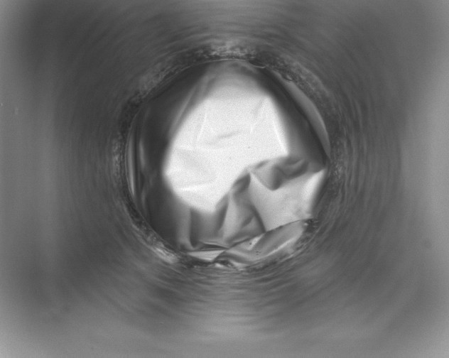 X0000074220513200609222011