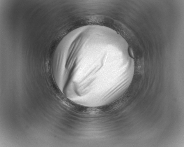 X0000074220514200609222011