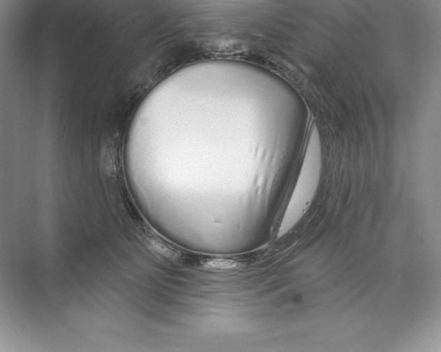 X0000074220515200609222011
