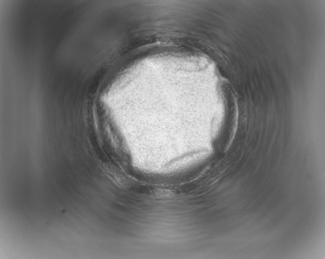 X0000074220519200609222010