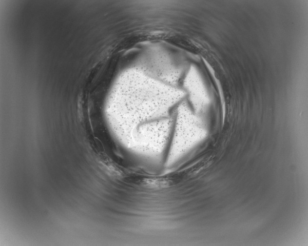 X0000074220520200609222010