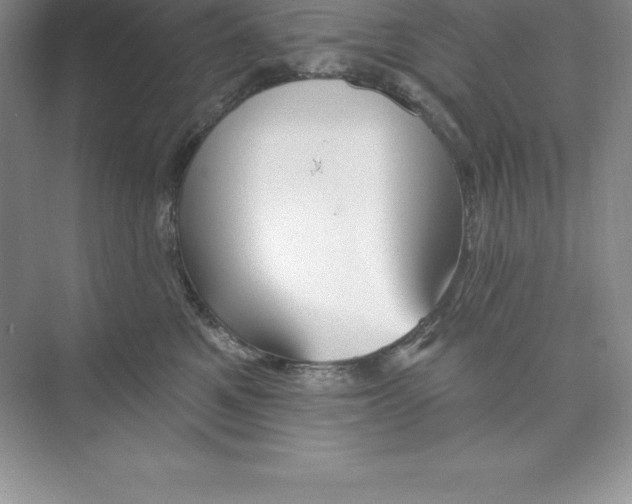 X0000074220521200609222010