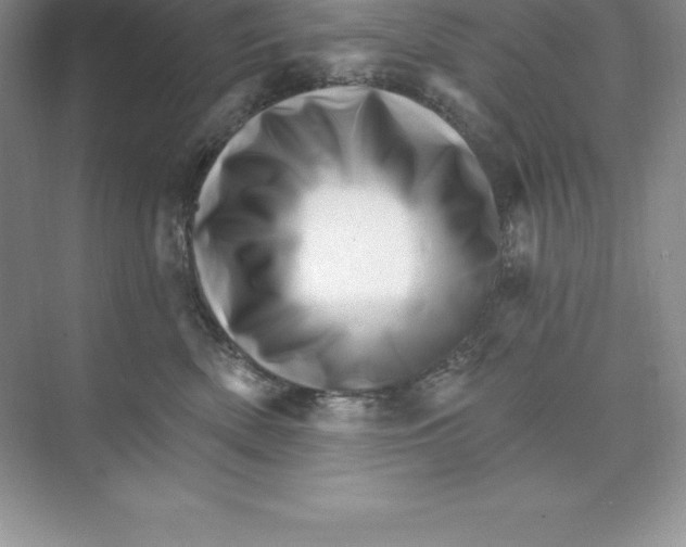X0000074220522200609222010