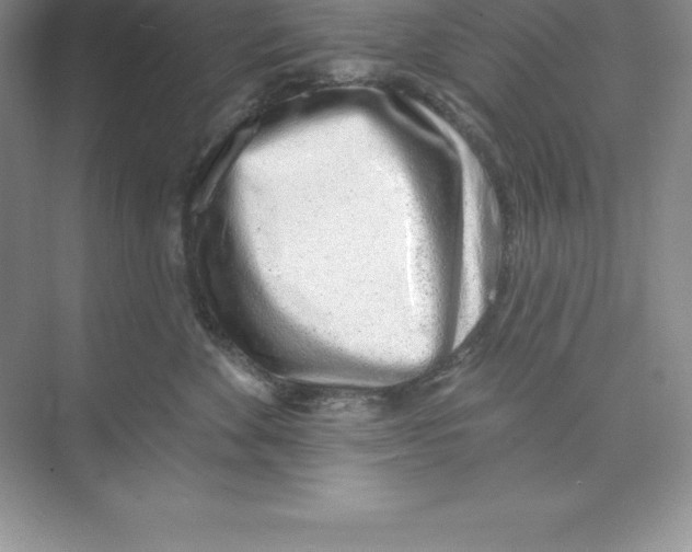 X0000074220524200609222010