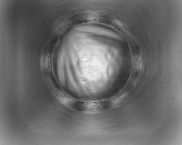 X0000074220527200609222010