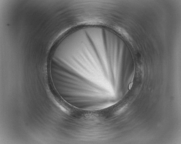 X0000074220535200609222010