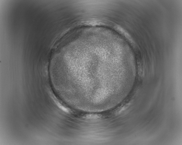 X0000074220537200609222010