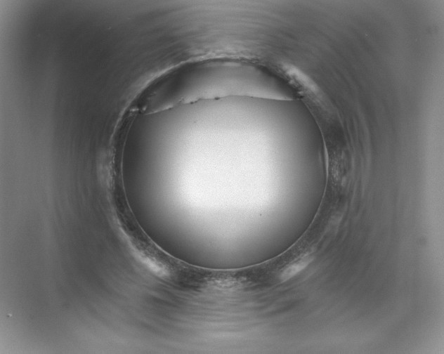 X0000074220540200609222010