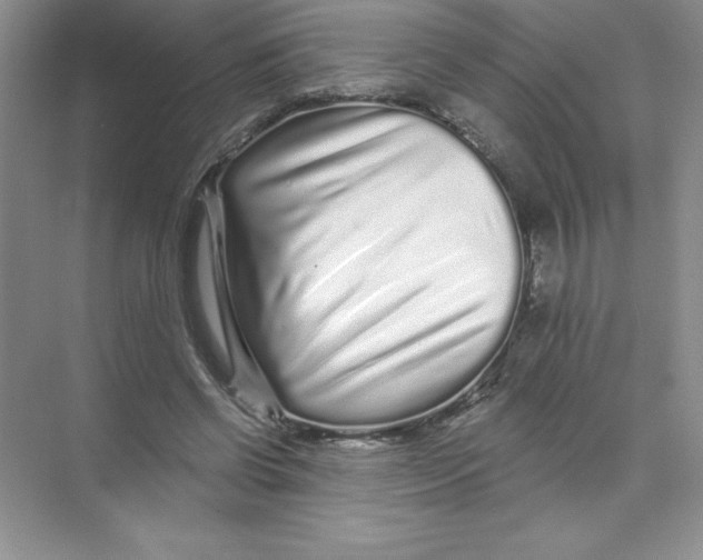 X0000074220542200609222010