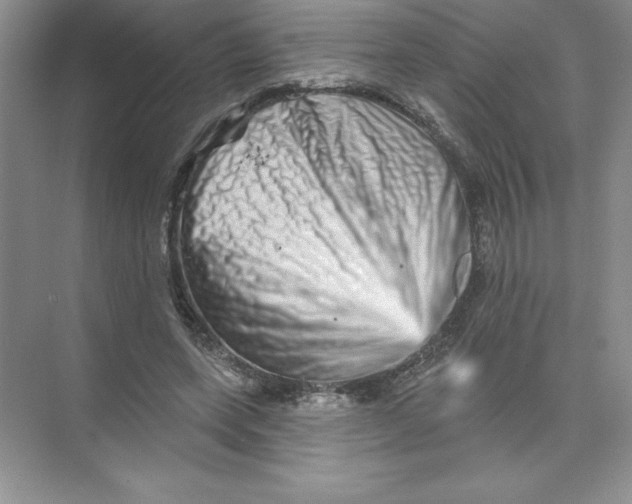 X0000074220543200609222010